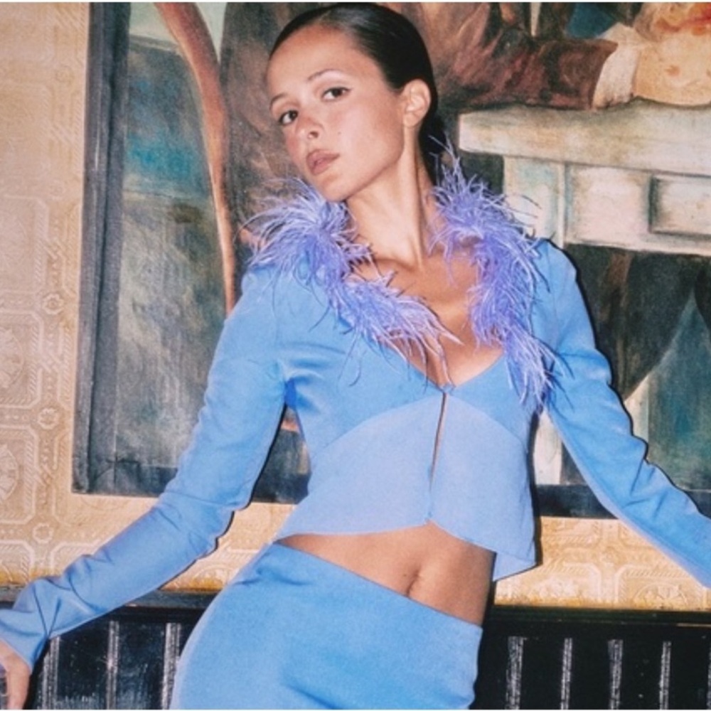 Danielle Guzio Iconic top